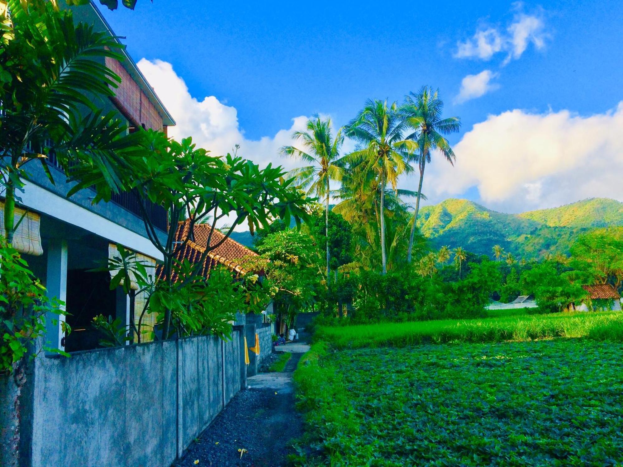 D'Uma Amed Homestay Exterior foto