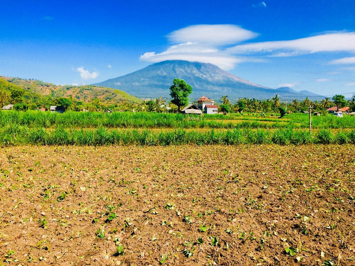 D'Uma Amed Homestay Exterior foto