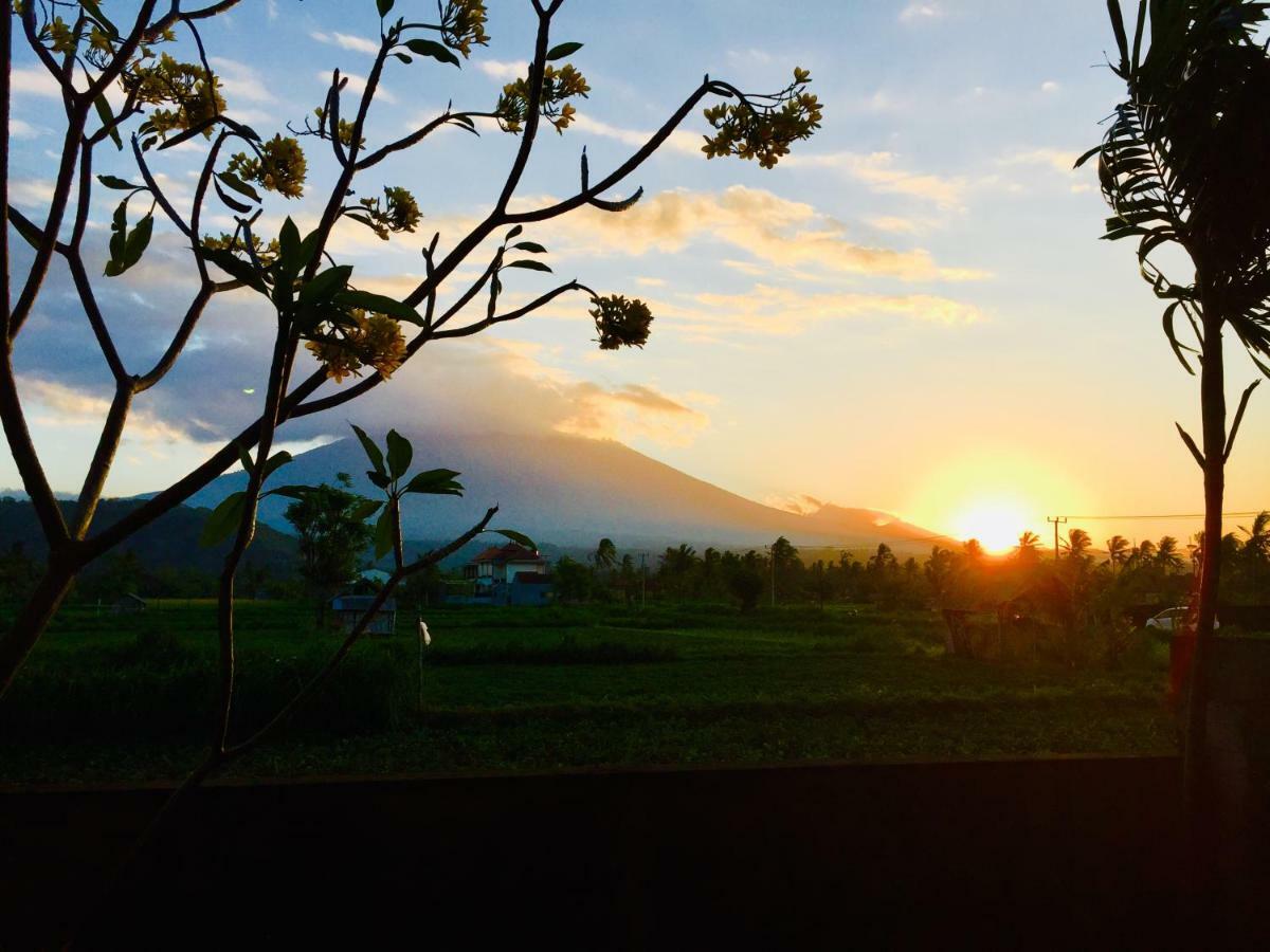 D'Uma Amed Homestay Exterior foto